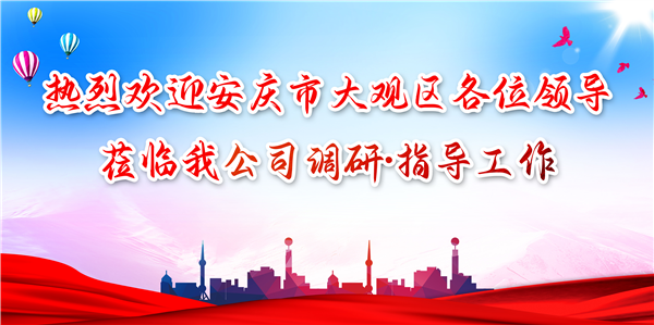 安慶市大觀區(qū)領(lǐng)導(dǎo)蒞臨我公司調(diào)研工作，為發(fā)展注入新動(dòng)力